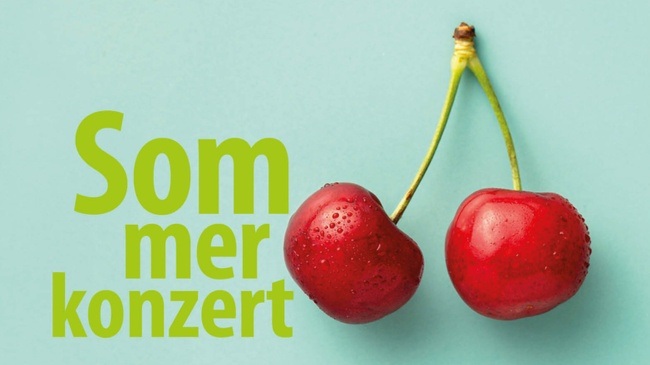 Sommerkonzert
