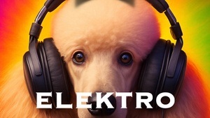 Elektro-Dance Party