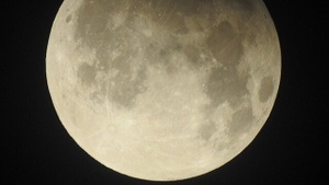 Beobachtung der totalen Mondfinsternis auf der Archenhold-Sternwarte