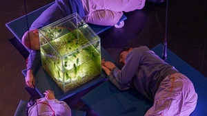 HOW TO BREATHE IN TIMES OF CRISIS?