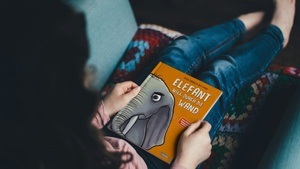 Elefant will durch die Wand | Dokumentale 2025