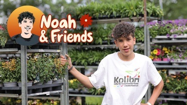 Noah & Friends Pflanzen für den guten Zweck 2026