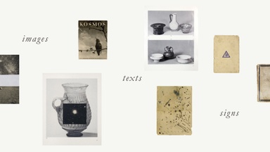 Ausstellung - Sasha Koura - images texts signs