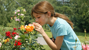 NEU Kinder-Rosariumstour – am ROSENFEST!