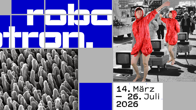 Robotron. Arbeiterklasse und Intelligenz