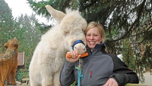 Triff den Tierpfleger im Wildpark Schwarze Berge