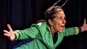 Pinocchio - Frei erzählt und interpretiert von Antonella Simonetti