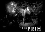 THE PRIM Cover Image