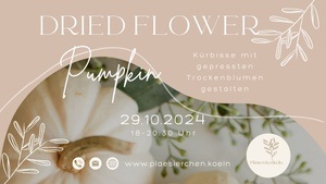 Workshop: Dried Flower Pumpkin