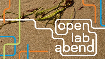 Open Lab Abend: Seegras als intelligentes Material