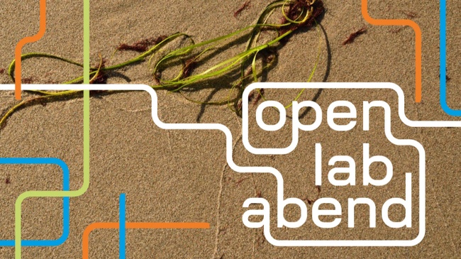 Open Lab Abend: Seegras als intelligentes Material