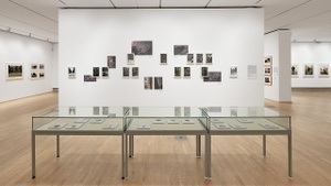 Kuratorinnenführung "Am Anfang ist die Idee"