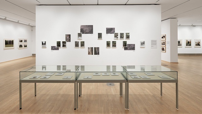 Kuratorinnenführung "Am Anfang ist die Idee"