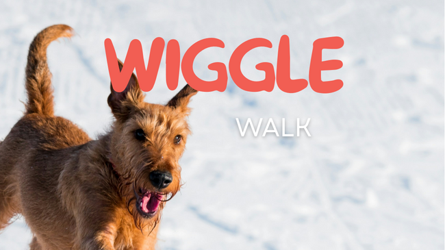 WIGGLE WALK COLOGNE - Karnevalswalk Februar