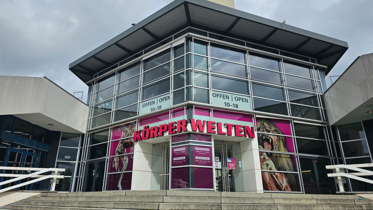 KÖRPERWELTEN Berlin / Dauerausstellung / Täglich von 9 bis 19 Uhr geöffnet