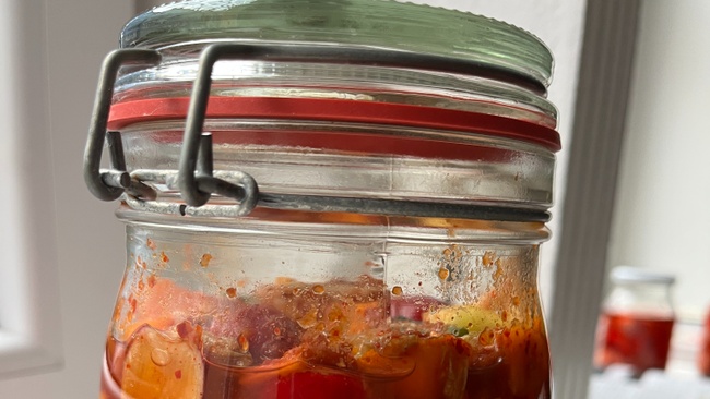 Kimchi Lovers - Fermentieren!