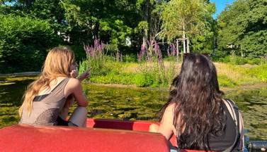 Pedal Boating in Cologne