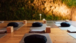 Yoga Liebe 2.0 (Yoga & Pilates)