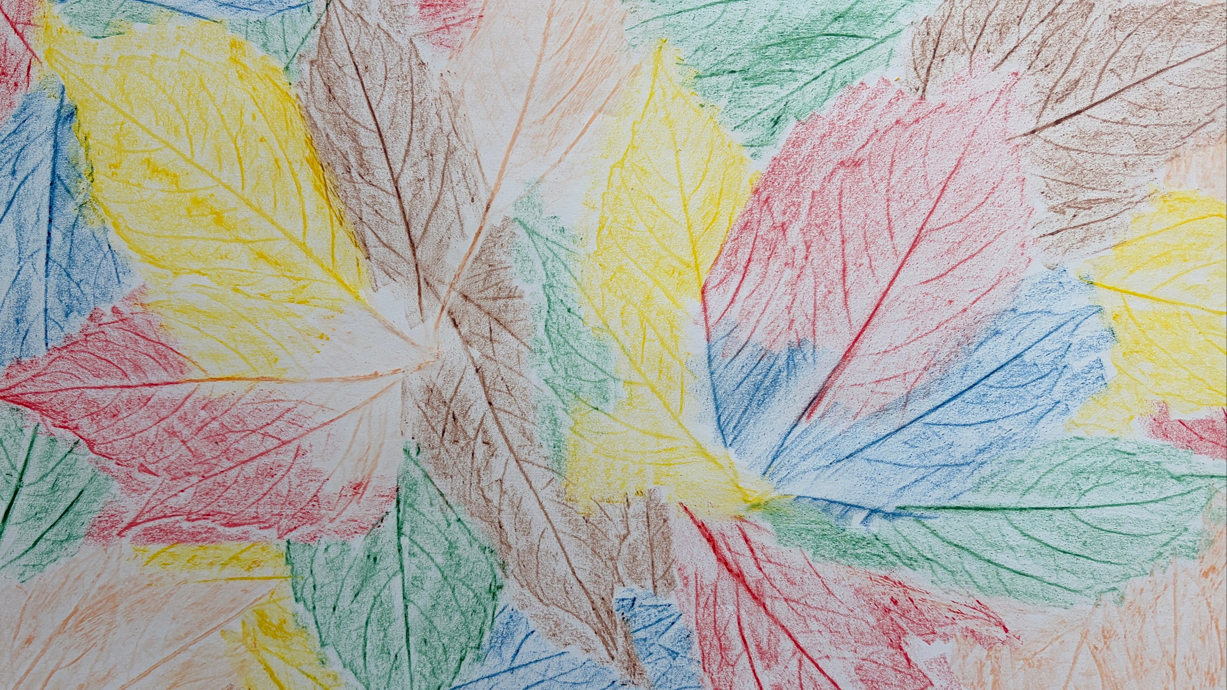Familie forscht: Waldkunst
