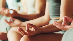 Meditation im Prinz Eugen Park - Erfahrungsraum Intuition & Miteinander