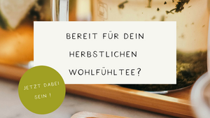 Kräutermischung-Workshop – Dein persönlicher Wohlfühltee 🌿✨
