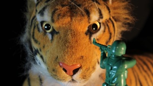 Plastic Heroes | Ariel Doron