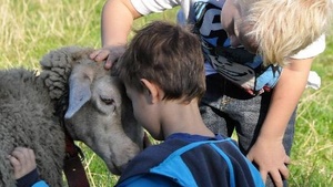 WWF Junior Camp: Säen, ernten, Pferde, Ziegen – richtig Spaß beim Bauern kriegen