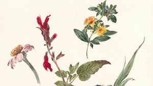 Botanische Führung