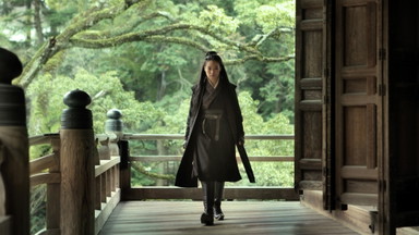 THE ASSASSIN | Open-Air-Kino