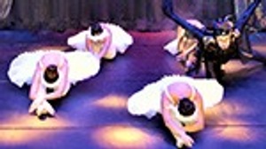 Ballett-GALA - mit der Ballettschule in Köln-Kalk