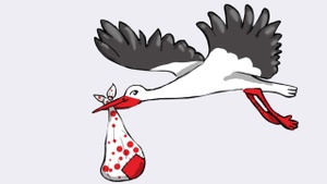 Nähkurs für Schwangere