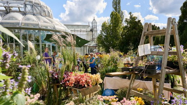 Herbst-Staudenmarkt im  Botanischen Garten Berlin am 5. und 6. September 2026