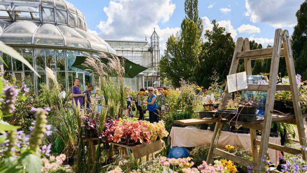 Titelbild der Veranstaltung Herbst-Staudenmarkt im  Botanischen Garten Berlin am 5. und 6. September 2026