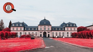 Krimi-Trail Bonn Musikerviertel: Der Tod des Künstlers