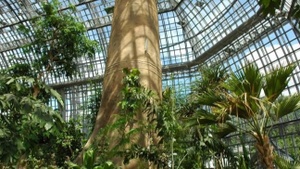 Warum Pflanzen nicht unpolitisch sind - Führung im Botanischen Garten für Studierende