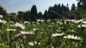 FÜHRUNG | Wie schmeckt der Schlosspark?