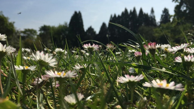 FÜHRUNG | Wie schmeckt der Schlosspark?