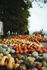 Herbstmarkt in Molfsee