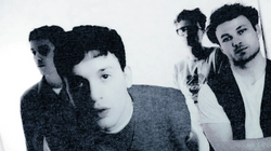 Junodream
