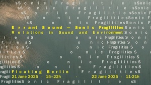 SONIC FRAGILITIES