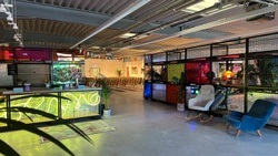 LIFE HAMBURG Pop-Up