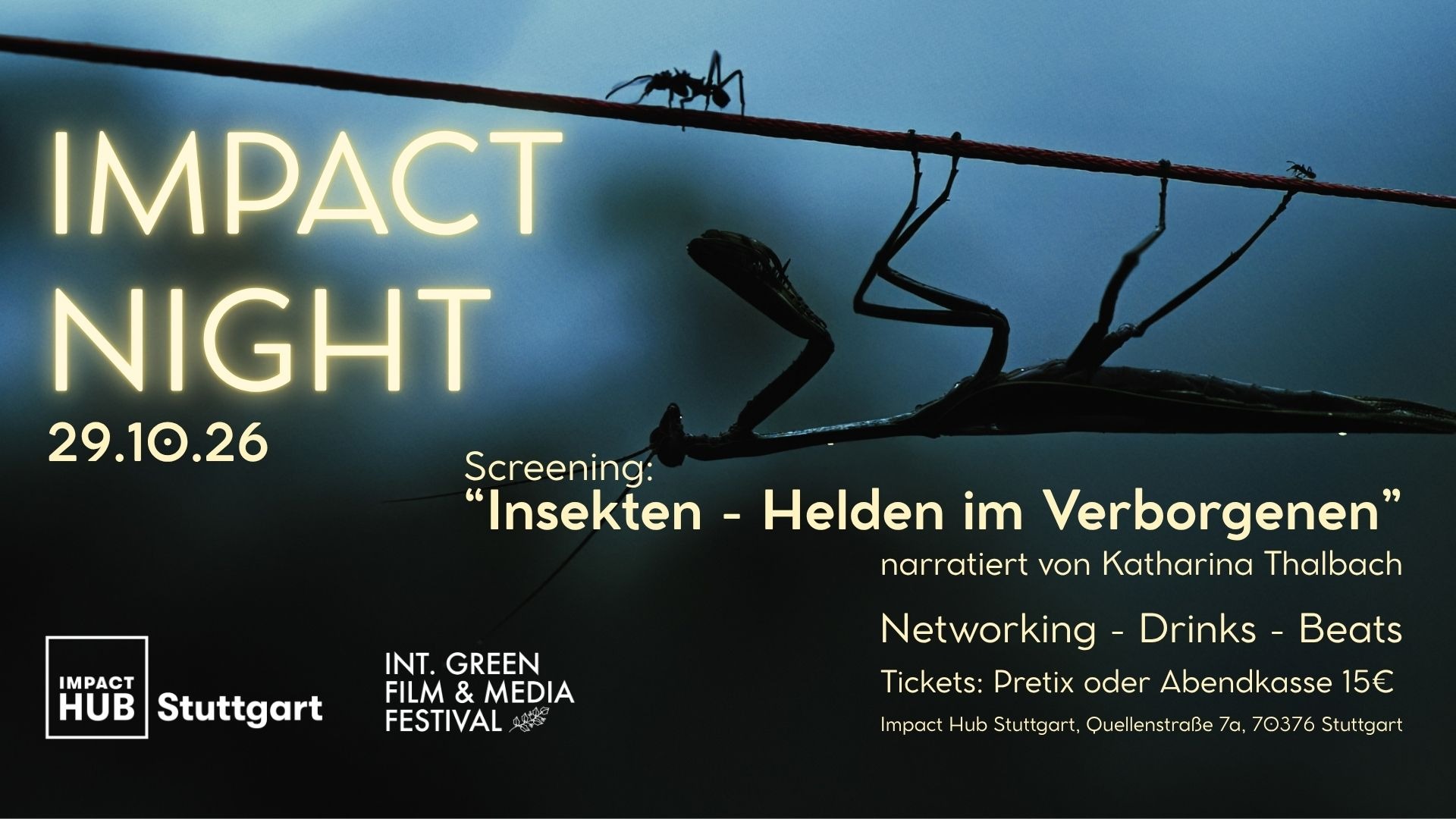Impact Night