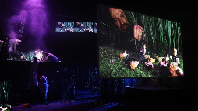 Der Zauberer von Öz - Eine Fußballtragödie