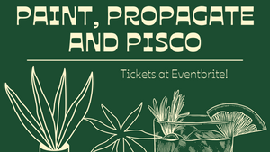 Paint, Propagate and Pisco