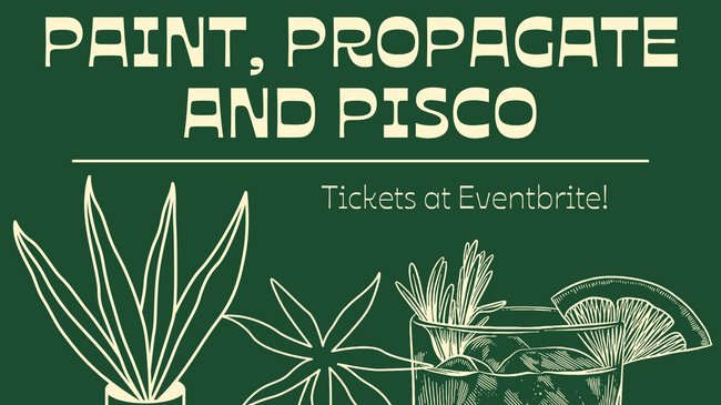 Paint, Propagate and Pisco