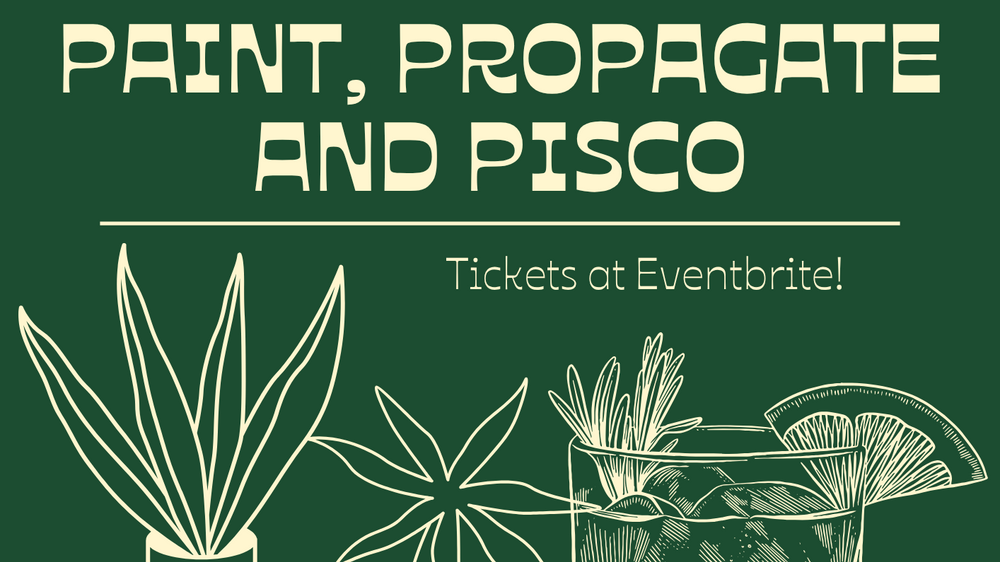 Paint, Propagate and Pisco