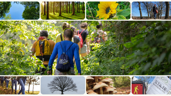 Stille Achtsamkeitsreise durch die Jahreszeiten