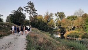 Wildkräuterspaziergang "Zykluskräuter"