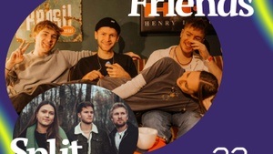 KLINKE: Birds are Friends & Split Lights