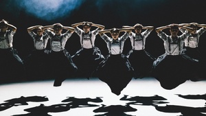 NEDERLANDS DANS THEATER 2